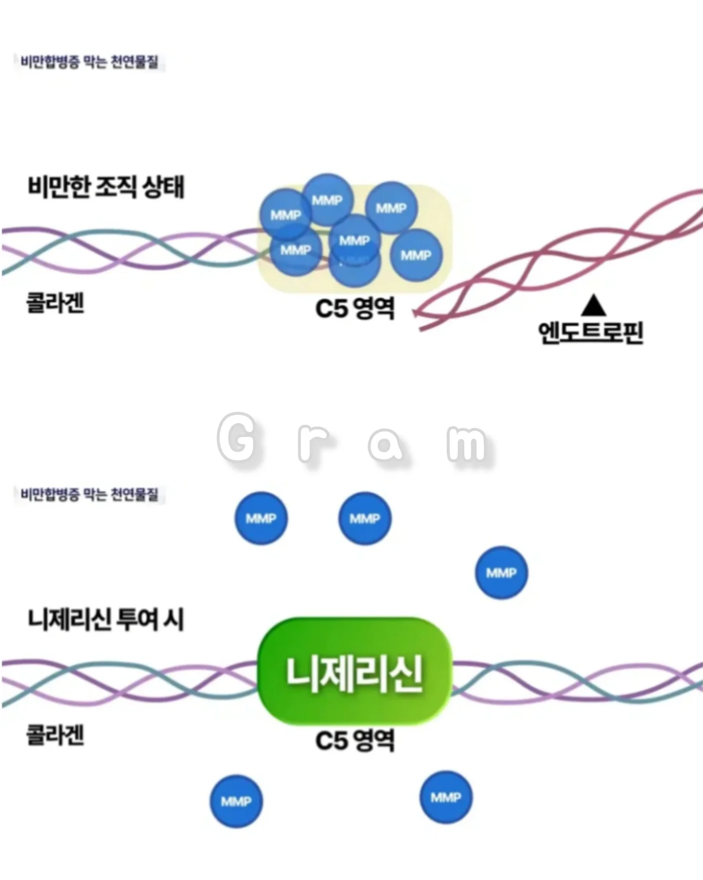 ecceff5239dd45d9bc8612aeb3f80546.webp