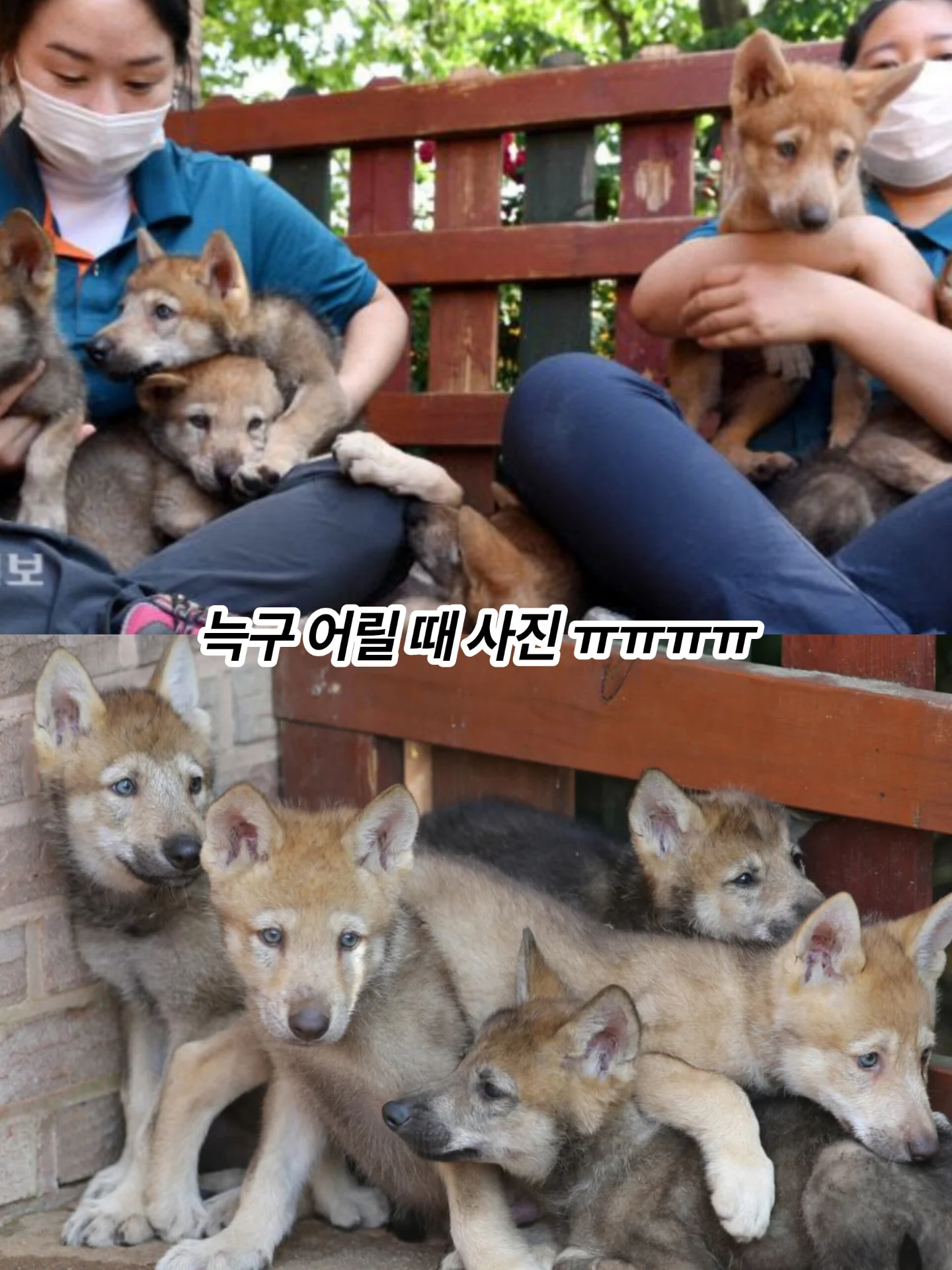 389043561d994728afce4edad6bf4eba.webp