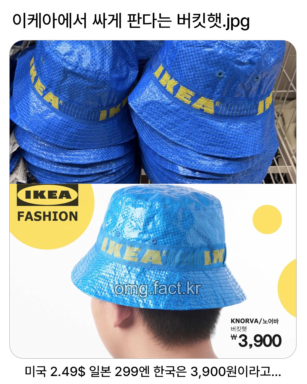 7ca7abf3e3a14af78bd13b113ba86ae8.jpeg