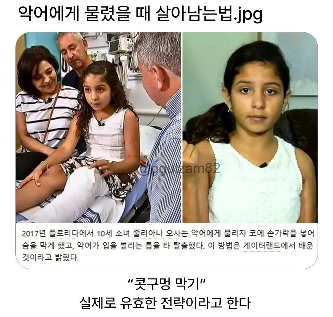 f5b04921ec7c4d34a1312d5c75a5ea4b.png