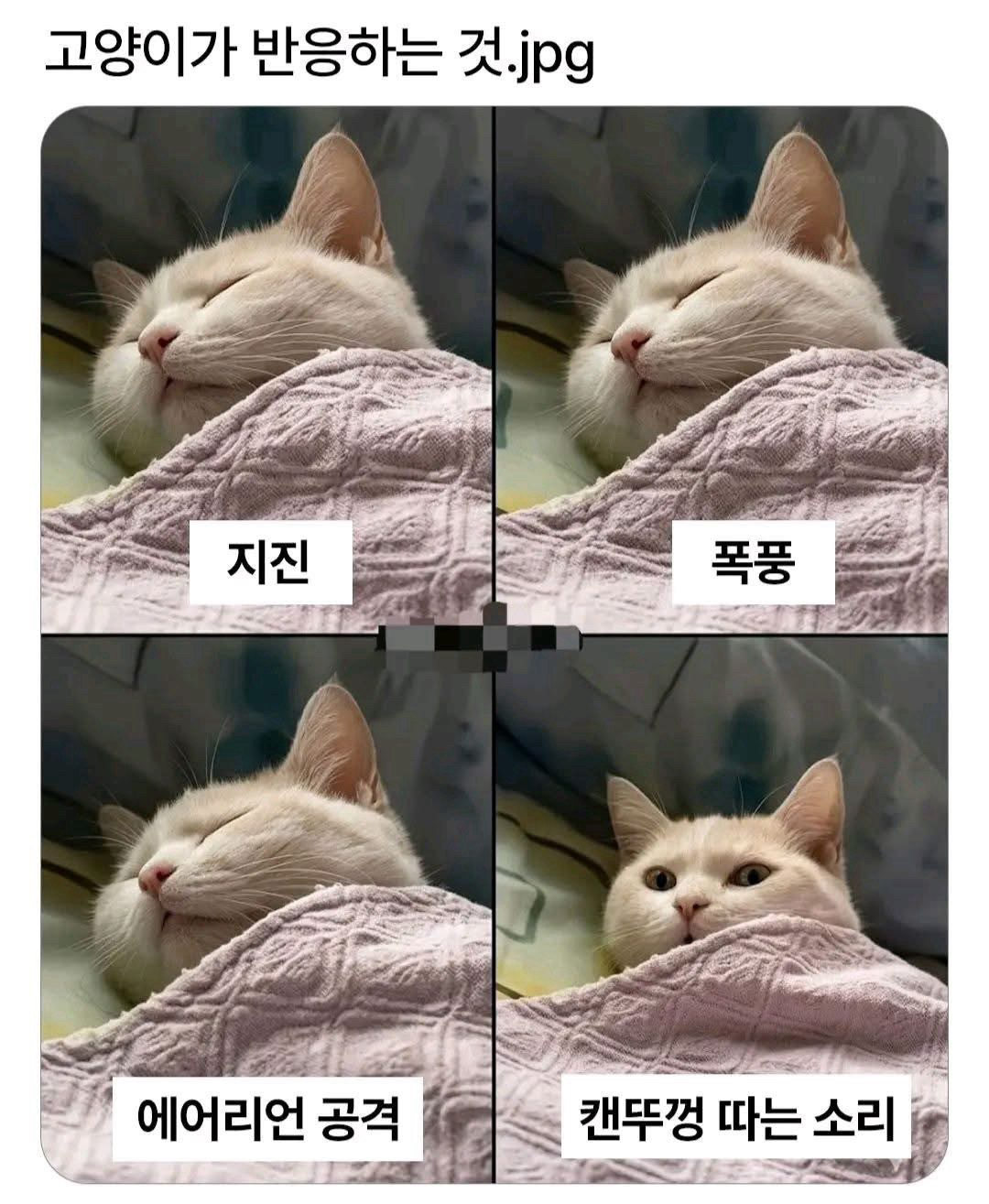 7dddebac4d07494a9ee1657622e8168c.png