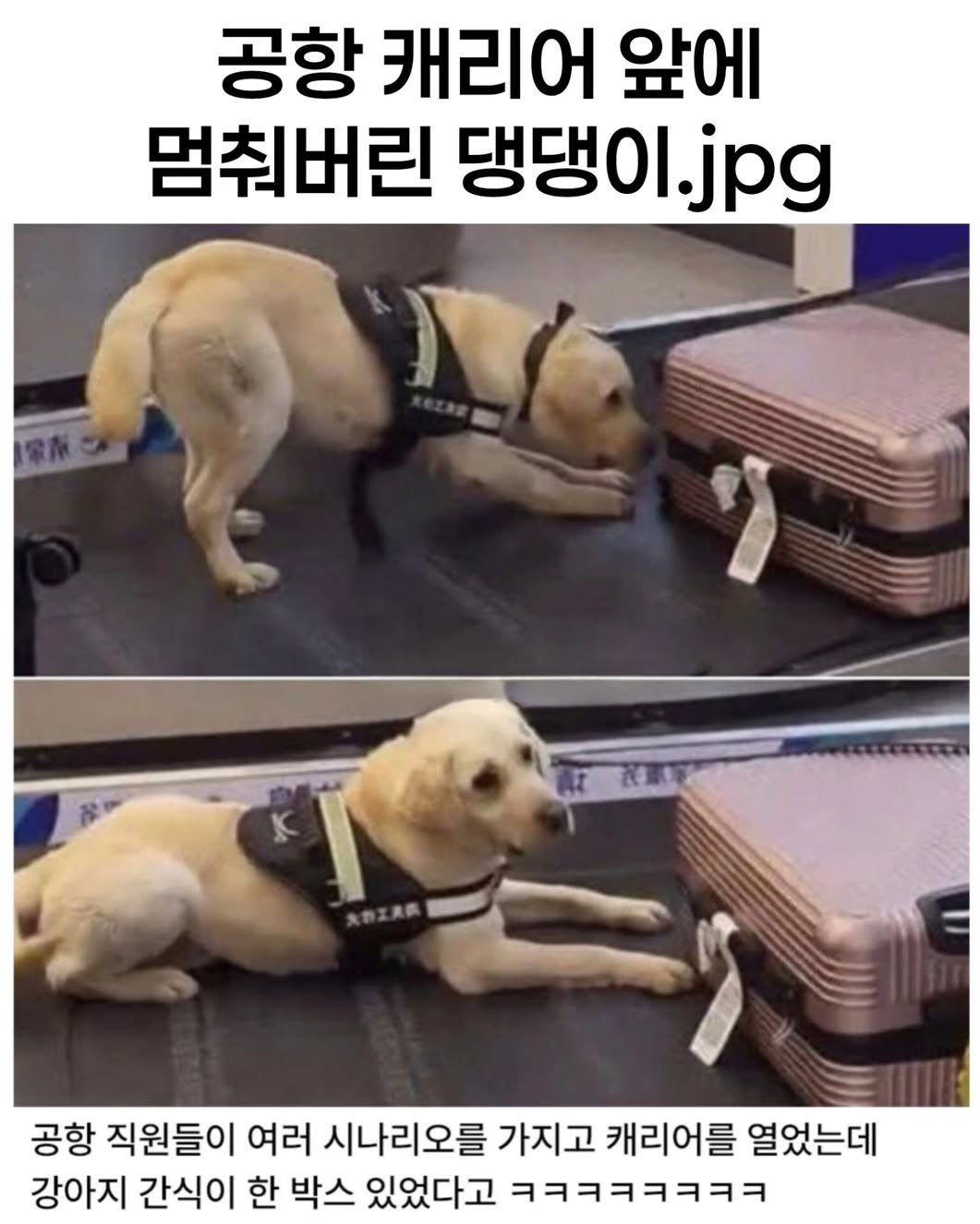 3dd57800636f4559886bd54bd1c444c5.png
