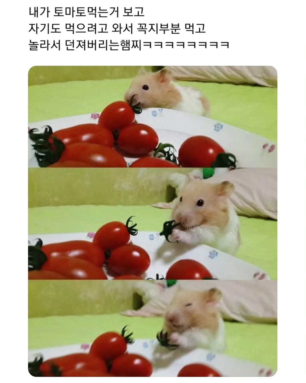 0b4aaaaf05354a4baf19aa0bb5a113dc.jpeg