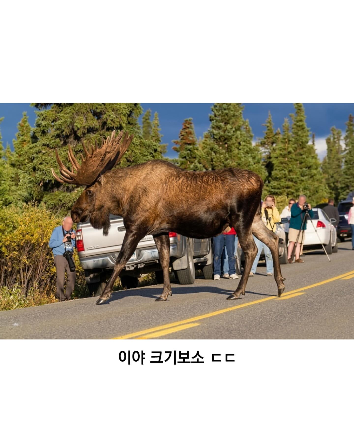 b18e38d594b74a5a9f584258a7afbcac.jpeg