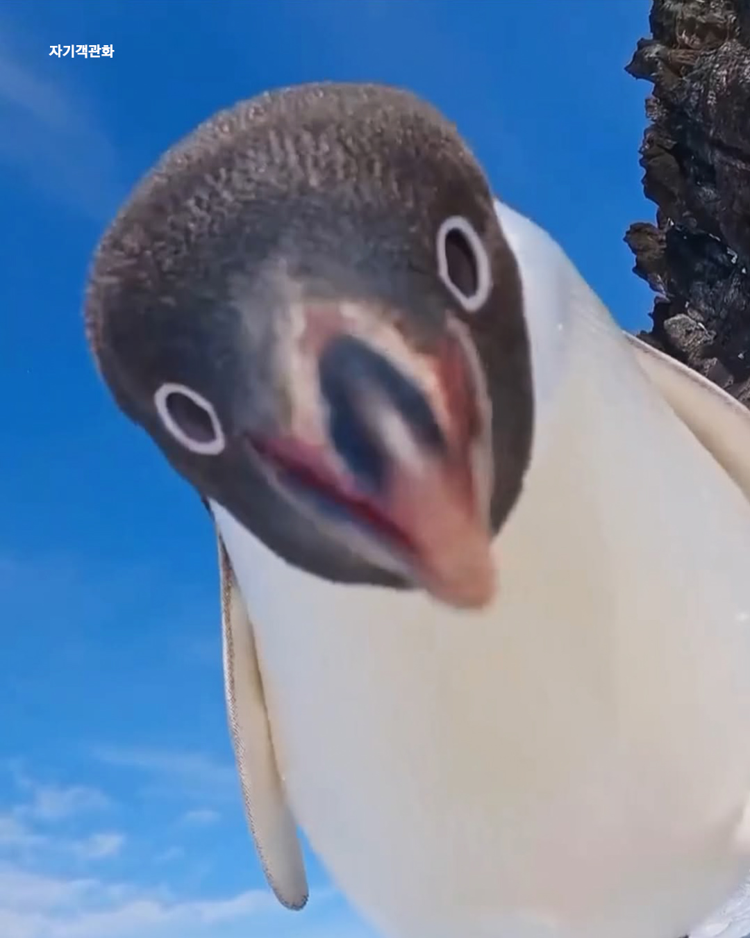 3b361045989646e080620d6031f851aa.jpeg