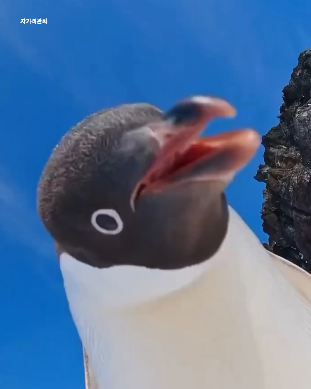 3b994e21cdd44a3781450a0827e569bc.jpeg