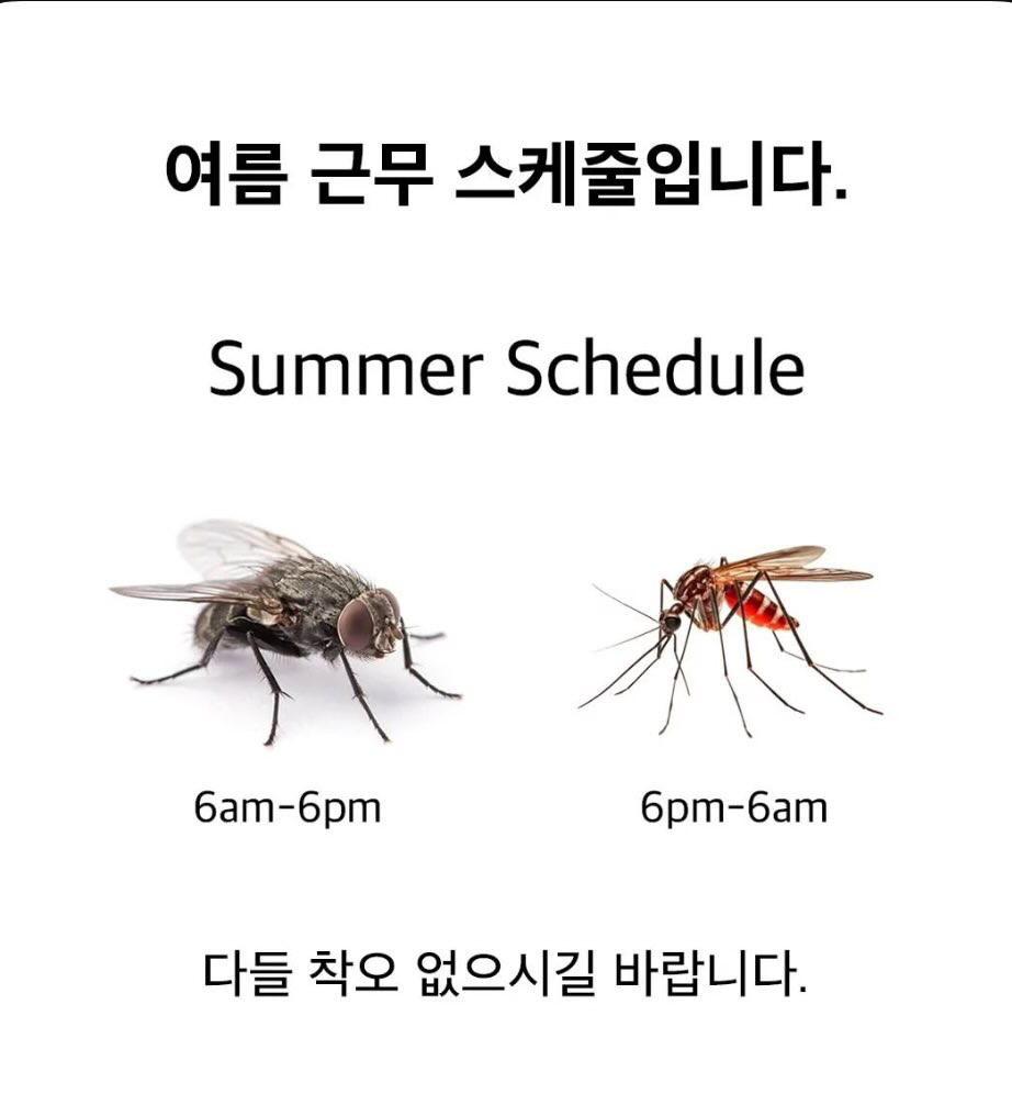 6a4178b2168d4a66b6fe6efe91ef068e.png